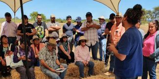 Tradicional “Día de Campo” reúne a más de 100 agricultores en INIA Hidango
