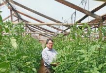 Uso de bioinsumos para combatir efectos del cambio climático en el agro