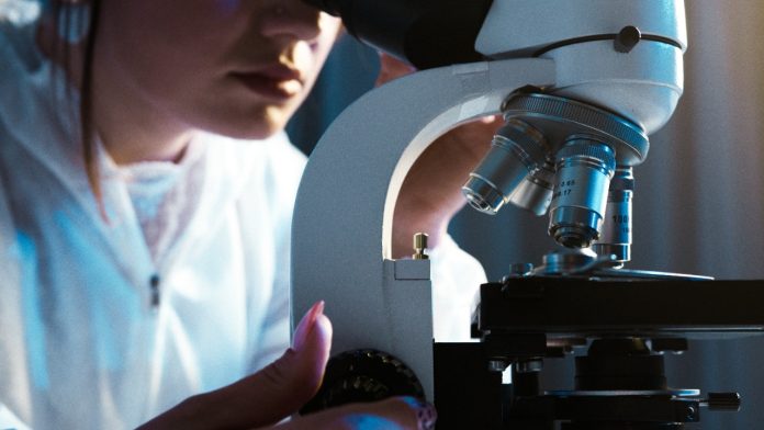 Academia chilena de biotecnología agrícola entregará becas para que jóvenes chilenos desarrollen soluciones en el agro y el medio ambiente