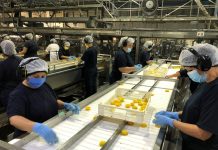 Aconcagua Foods abre más de 2.000 plazas de trabajo