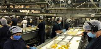 Aconcagua Foods abre más de 2.000 plazas de trabajo