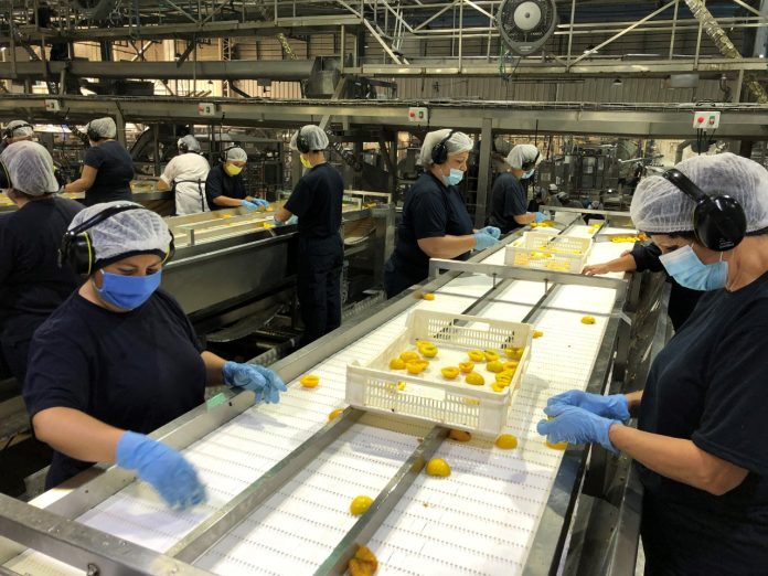 Aconcagua Foods abre más de 2.000 plazas de trabajo