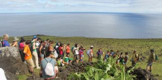 CONAF y KLORANE dan inicio a proyecto de conservación de flora endémica y nativa de Rapa Nui