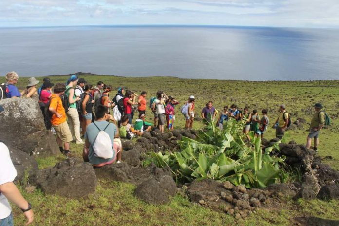 CONAF y KLORANE dan inicio a proyecto de conservación de flora endémica y nativa de Rapa Nui