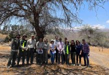 CONAF y el Ministerio de Energía trabajan para descarbonizar la matriz energética