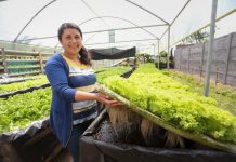 Chile será anfitrión de la reunión más importante para la agricultura familiar campesina de la región