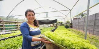 Chile será anfitrión de la reunión más importante para la agricultura familiar campesina de la región