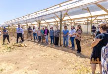 En Longotoma FIA lanza Programa de Transferencia y Adopción de Innovaciones en el Agro