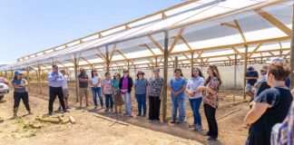 En Longotoma FIA lanza Programa de Transferencia y Adopción de Innovaciones en el Agro