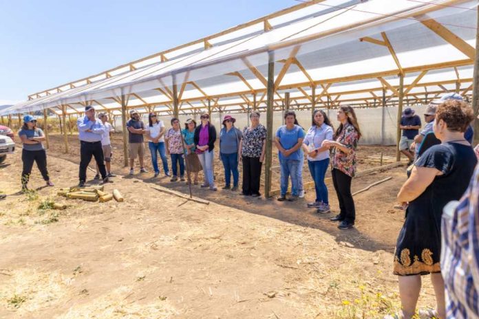 En Longotoma FIA lanza Programa de Transferencia y Adopción de Innovaciones en el Agro