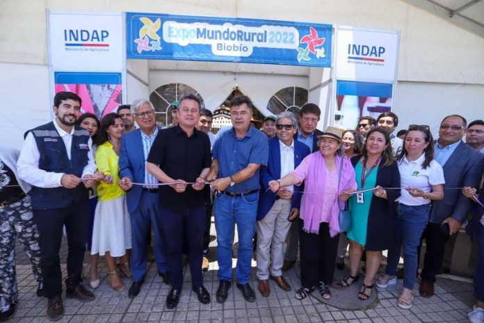 ExpoMundoRural Biobío 2022 Más de 400 productos campesinos se ofrecen en Concepción 