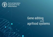 FAO califica a la edición de genes como herramienta “prometedora” para el mejoramiento vegetal en países de ingresos medios y bajos
