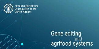 FAO califica a la edición de genes como herramienta “prometedora” para el mejoramiento vegetal en países de ingresos medios y bajos