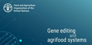 FAO califica a la edición de genes como herramienta “prometedora” para el mejoramiento vegetal en países de ingresos medios y bajos