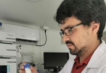 Innovación desarrollan packaging antimicrobiano para favorecer las exportaciones frutícolas