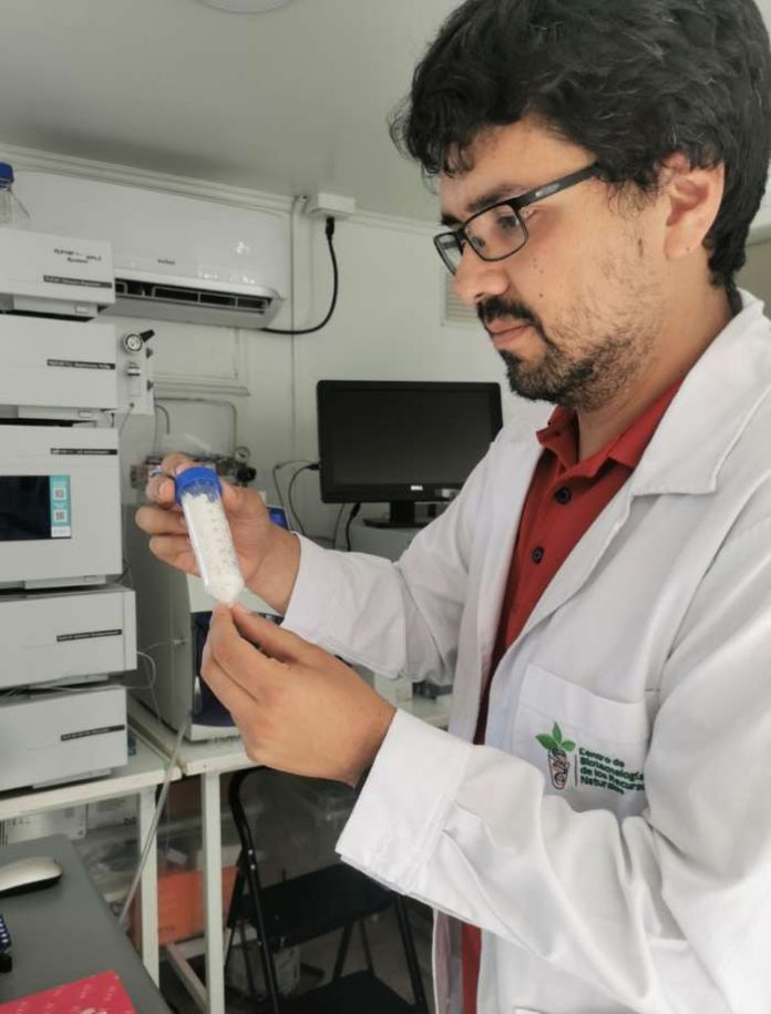 Innovación desarrollan packaging antimicrobiano para favorecer las exportaciones frutícolas
