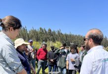 Las razones que explican el creciente uso de drones en la agricultura regional