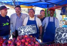 Ministerio de Agricultura aconseja comprar alimentos de temporada en ferias libres y carnes blancas en carnicerías para las cenas de fin de año 