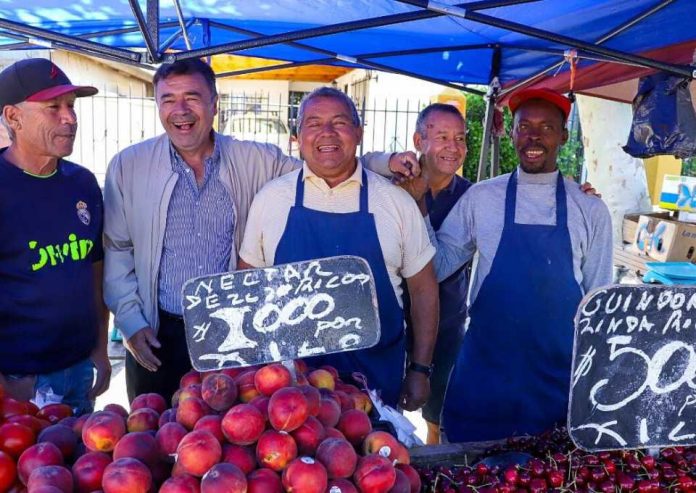 Ministerio de Agricultura aconseja comprar alimentos de temporada en ferias libres y carnes blancas en carnicerías para las cenas de fin de año 