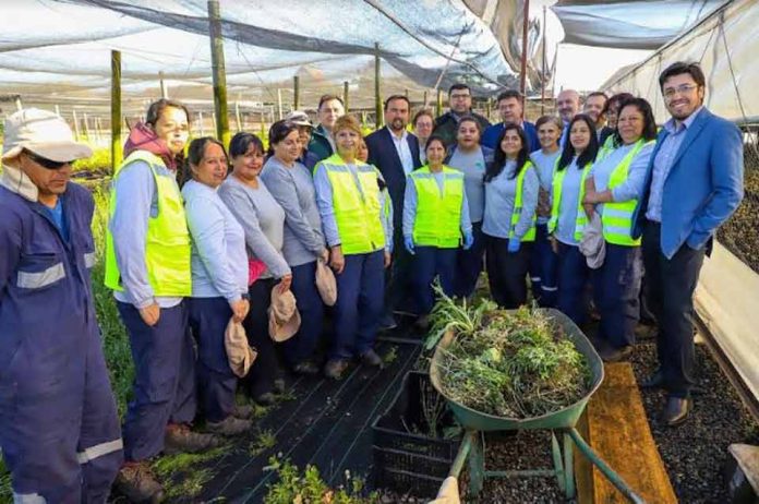 Ministro Esteban Valenzuela anuncia red jardines botánicos para Chile con avance de proyecto de Jardín Botánico de Chillán