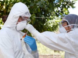 Ministro Valenzuela confirma primer caso de influenza aviar H5N1 en ave silvestre encontrada en Arica