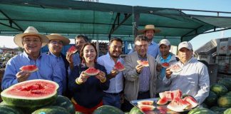 Ministro Valenzuela inauguró la temporada de sandías de Paine y destacó la producción de este año