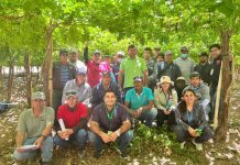 Profesionales de INIA Rayentué capacitan a agricultores del norte de Chile en uso de plaguicidas
