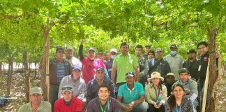 Profesionales de INIA Rayentué capacitan a agricultores del norte de Chile en uso de plaguicidas