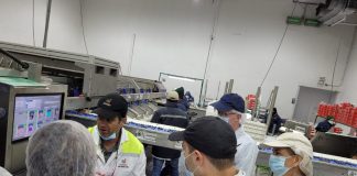 Representantes de grandes cadenas de supermercados de Norteamérica visitan la industria de la fruta frescas de Chile