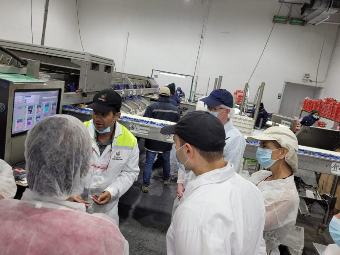 Representantes de grandes cadenas de supermercados de Norteamérica visitan la industria de la fruta frescas de Chile
