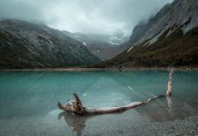 Revista Science publica carta que pide cambios en la estrategia de conservación de la Patagonia