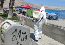 SAG capacitó a funcionarios de la Comuna de Mejillones sobre las medidas Preventivas por el estado de Alerta por Influenza Aviar en las costas de la Región de Antofagasta