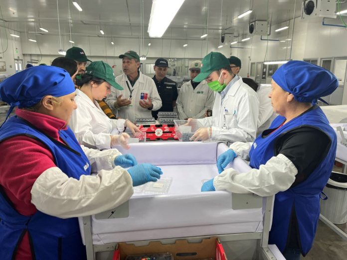 Se inicia nueva temporada de inspección en el Sitio SAG USDA – APHIS ASOEX de Cabrero