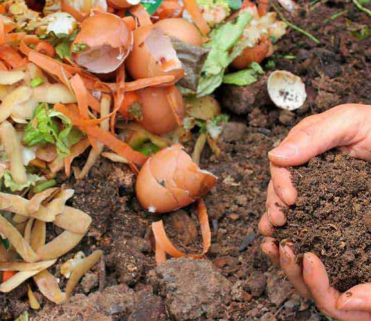 Seminario regional visibilizó el alto potencial de los desechos alimenticios