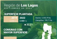 Superficie de frutales se expande un 32% en la Región de Los Lagos