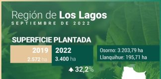 Superficie de frutales se expande un 32% en la Región de Los Lagos