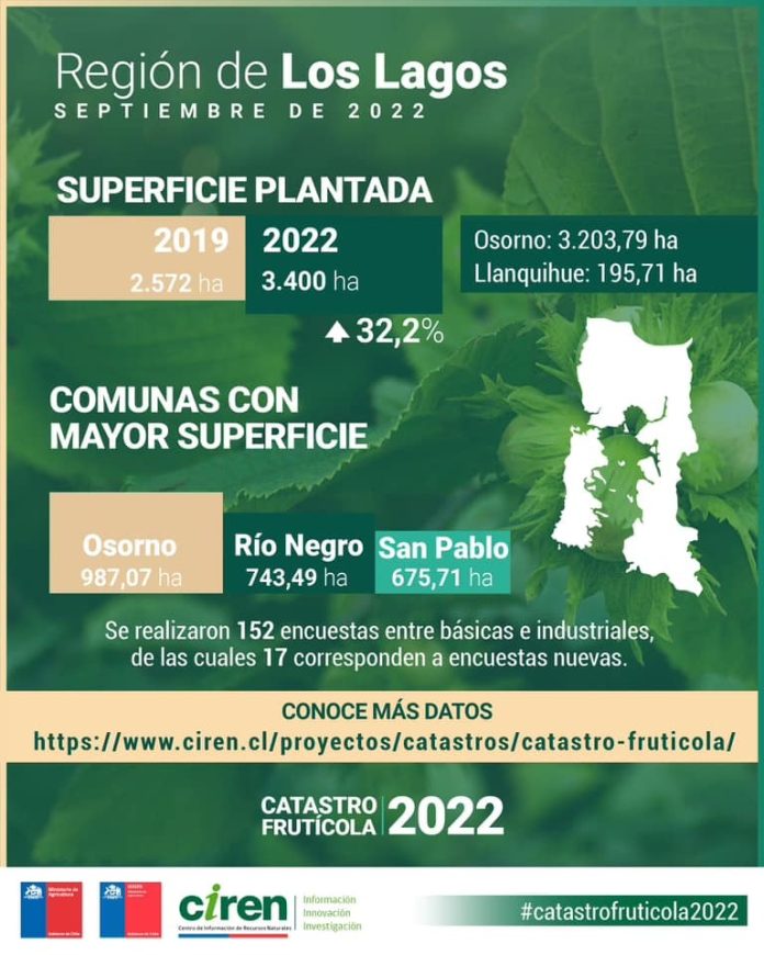 Superficie de frutales se expande un 32% en la Región de Los Lagos