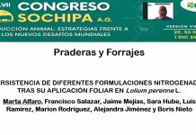 Trabajos científicos de investigadores de INIA Remehue fueron premiados en el Congreso Anual de Sochipa 2022
