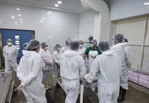 Veterinaria UdeC finalizó versión 2022 del curso para Médicos Veterinarios Inspectores Oficiales y ya prepara versión 2023
