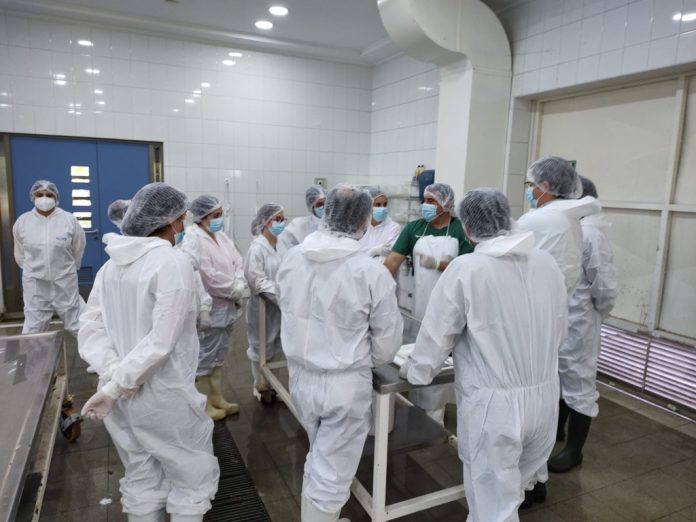 Veterinaria UdeC finalizó versión 2022 del curso para Médicos Veterinarios Inspectores Oficiales y ya prepara versión 2023