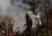 Viña del Mar Con gran contingente terrestre y aéreo se espera controlar hoy incendio forestal