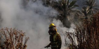 Viña del Mar Con gran contingente terrestre y aéreo se espera controlar hoy incendio forestal