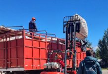 AFIPA y SAG Coordinan el retiro de 1.500 kilos de envases fitosanitarios en Aysén