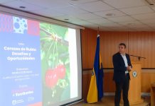 Agronomía UdeC realizó taller sobre “Cerezas de Ñuble Desafíos y Oportunidades”