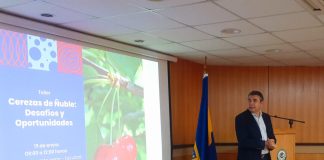 Agronomía UdeC realizó taller sobre “Cerezas de Ñuble Desafíos y Oportunidades”