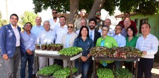 Coalición de Gremios Agroalimentarios de Chile y Bancada del Campo sostienen primer encuentro para garantizar La Seguridad Alimentaria en el país