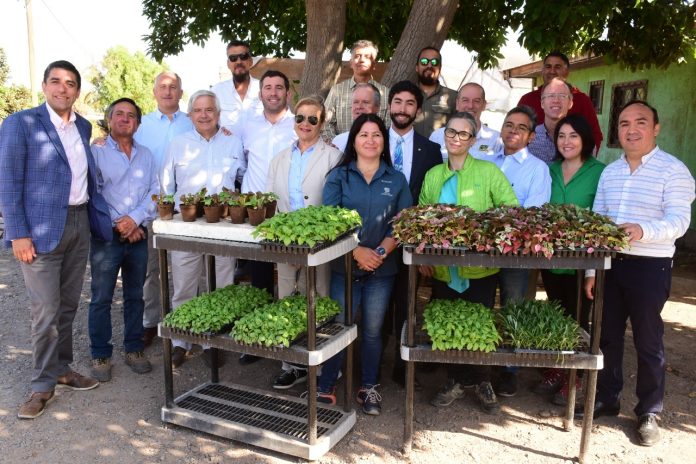 Coalición de Gremios Agroalimentarios de Chile y Bancada del Campo sostienen primer encuentro para garantizar La Seguridad Alimentaria en el país