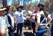 Comenzó levantamiento de información por agricultores afectados en incendio forestal de Santa Juana y Nacimiento 