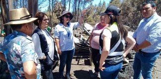 Comenzó levantamiento de información por agricultores afectados en incendio forestal de Santa Juana y Nacimiento 