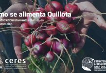 Cómo se alimentan las y los quillotanos: Inédito estudio indaga pautas culturales de alimentación de la comuna